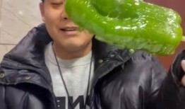 网红吃瓜爆料黄钰杰,黄钰杰事件真相揭秘